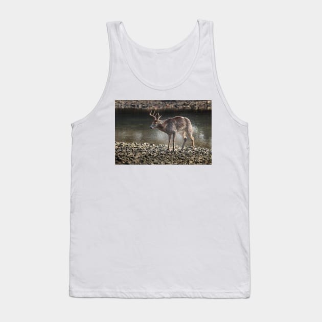 Wild life design Tank Top by GenesisClothing